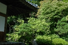 R0010881.JPG